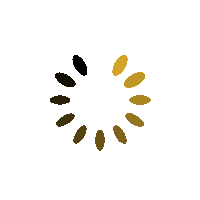 Spinner Icon